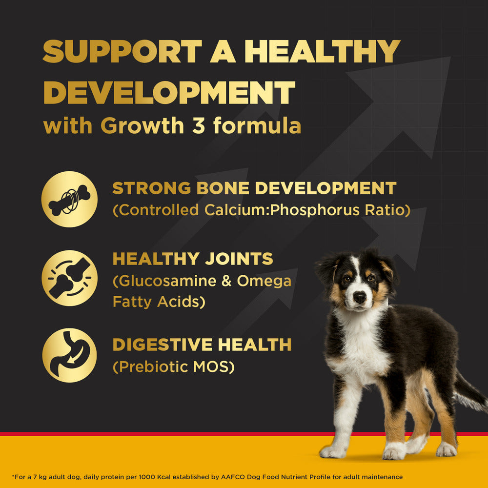 Pedigree PRO Dry Dog Food - Large Breed Puppy (3-18 Months)