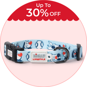 Walk Essentials on Petsy