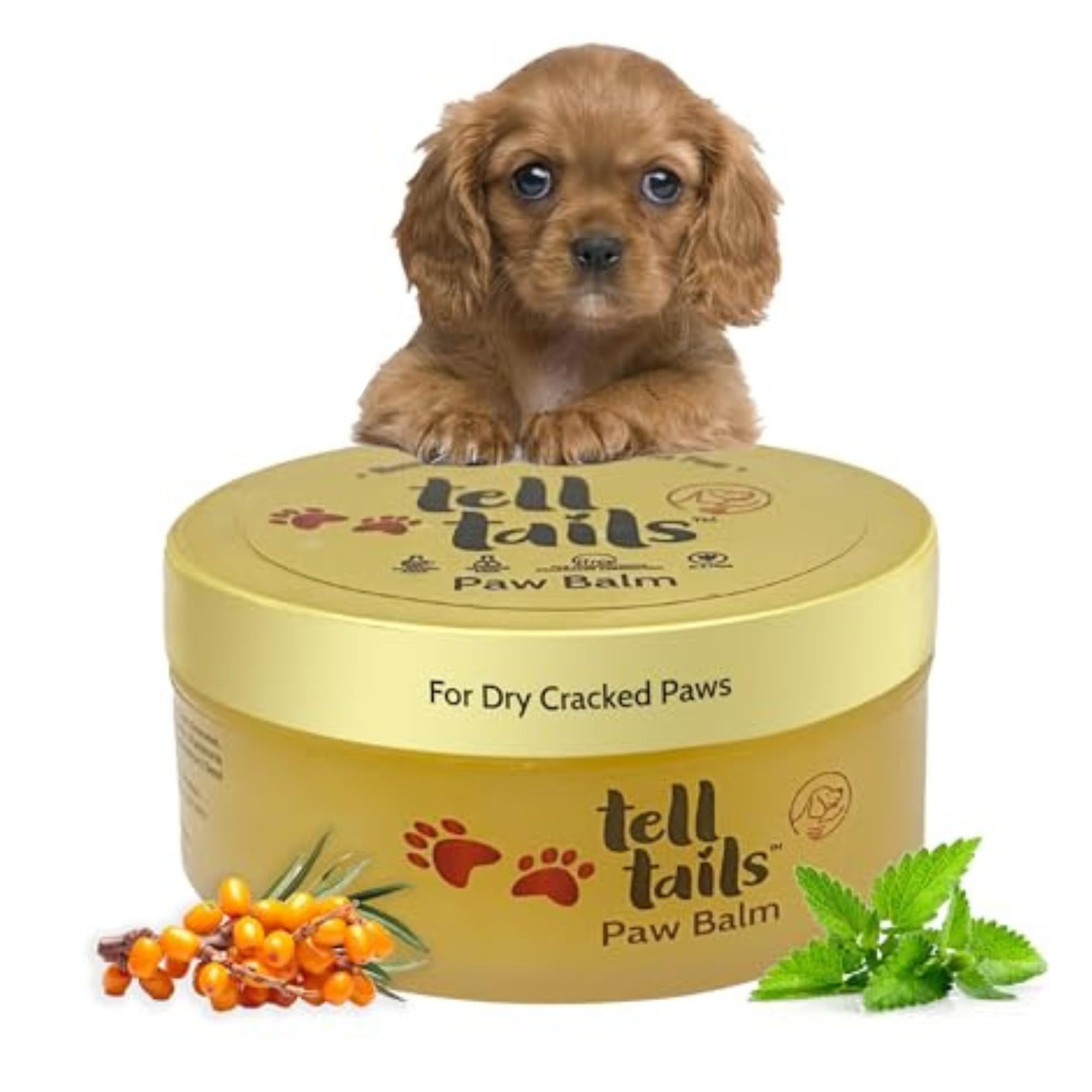 Tell Tails Paw Cream for Dogs 50g
