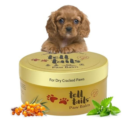 Tell Tails Paw Cream for Dogs 50g