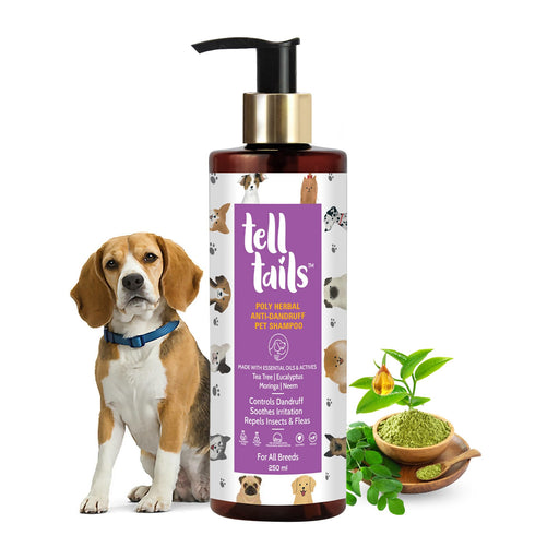 Tell Tails Anti-Dandruff Pet Shampoo - 250ml