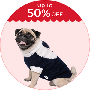 Pet Clothing Collection on Petsy