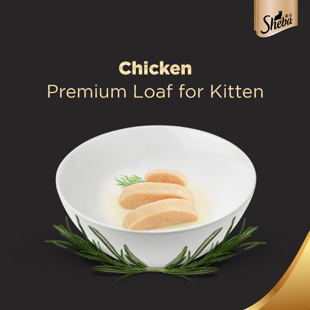 Sheba Premium Wet Cat Food - Chicken Loaf for Kittens