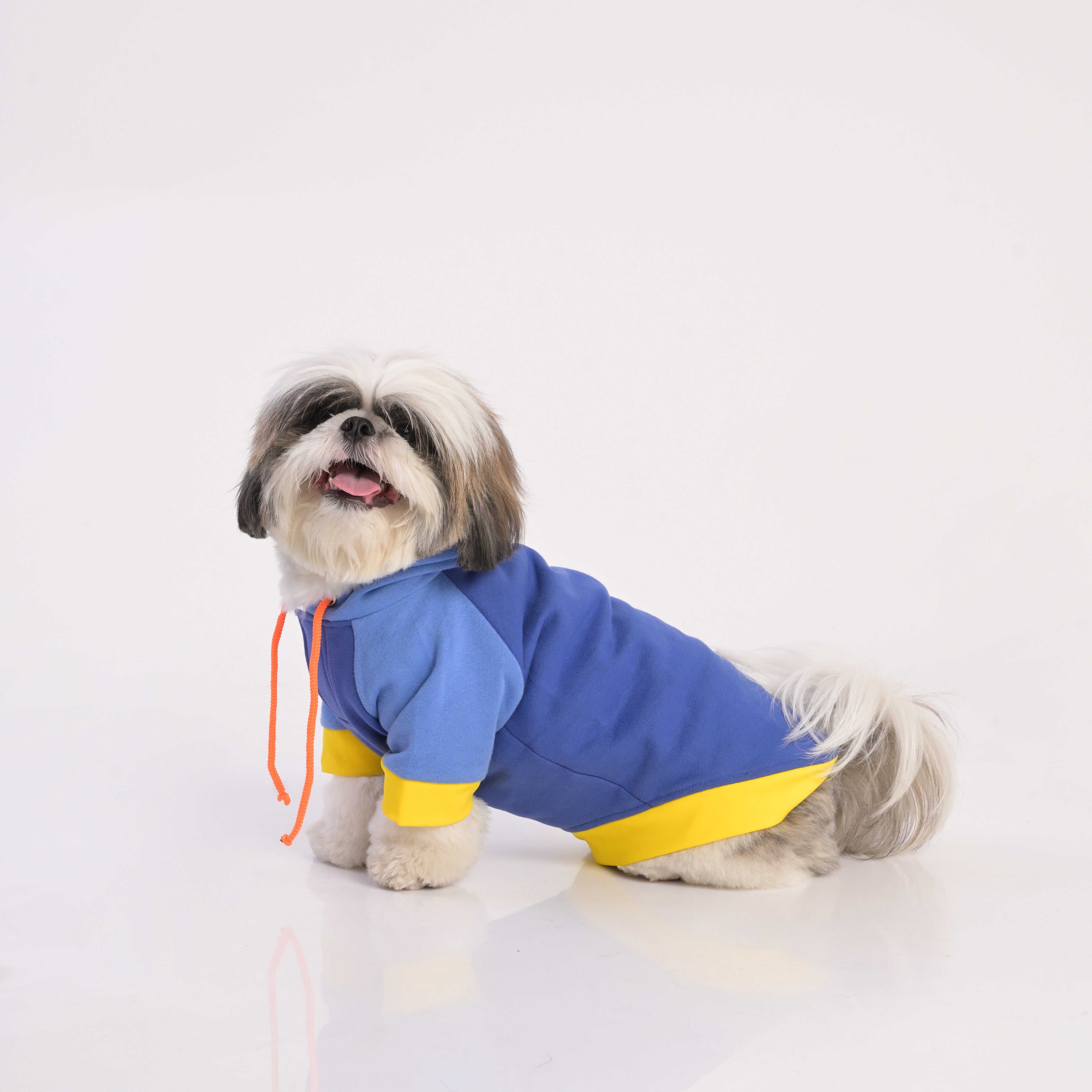 ZL Sandy Vibrant Warmer Hoodie for Dogs
