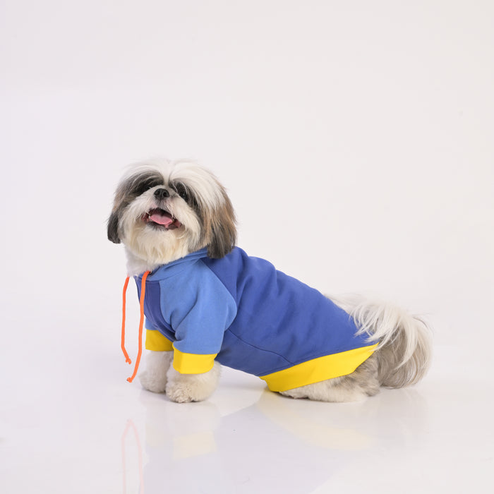 ZL Sandy Vibrant Warmer Hoodie for Dogs