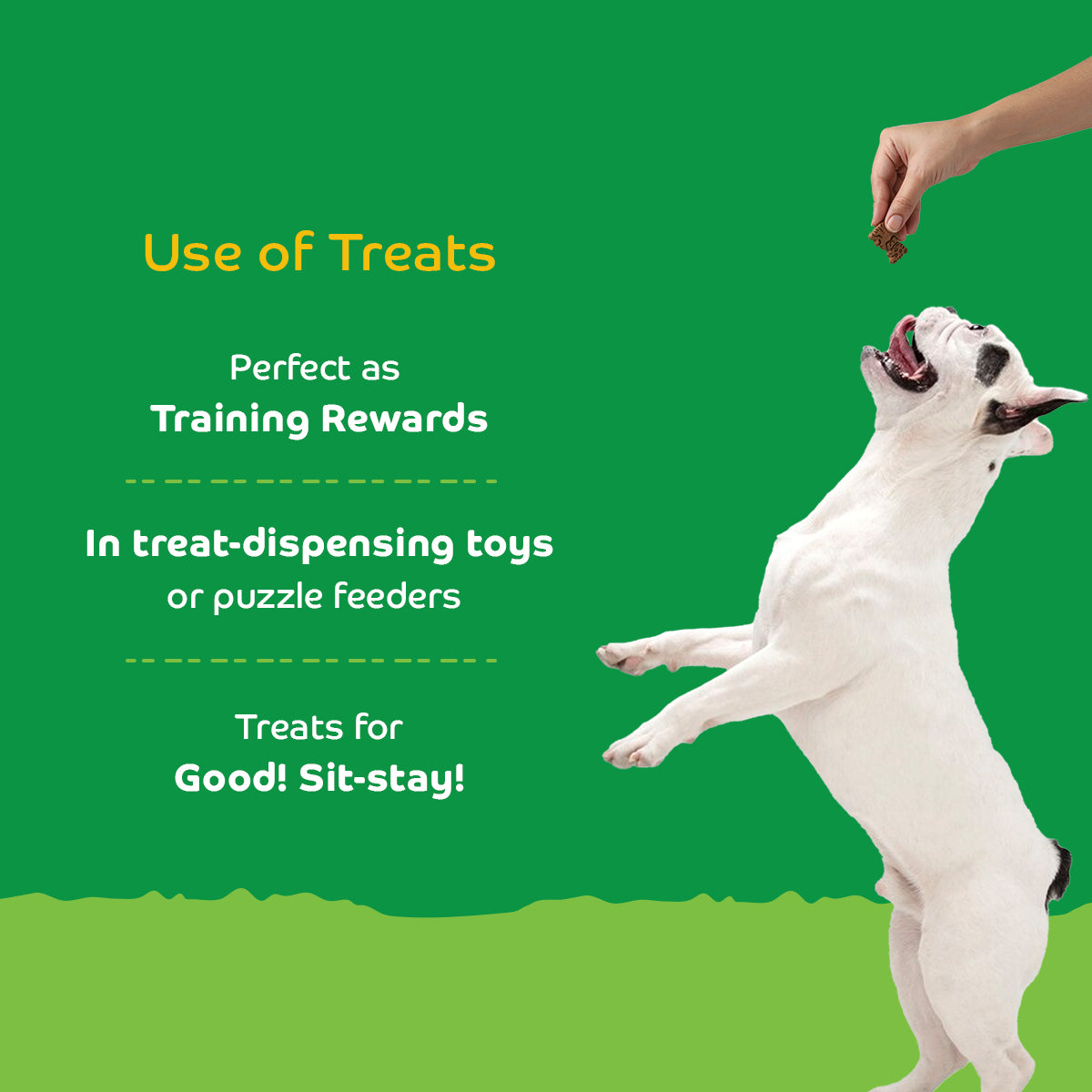 Applod Pumpkin Dog Biscuit With Turmeric