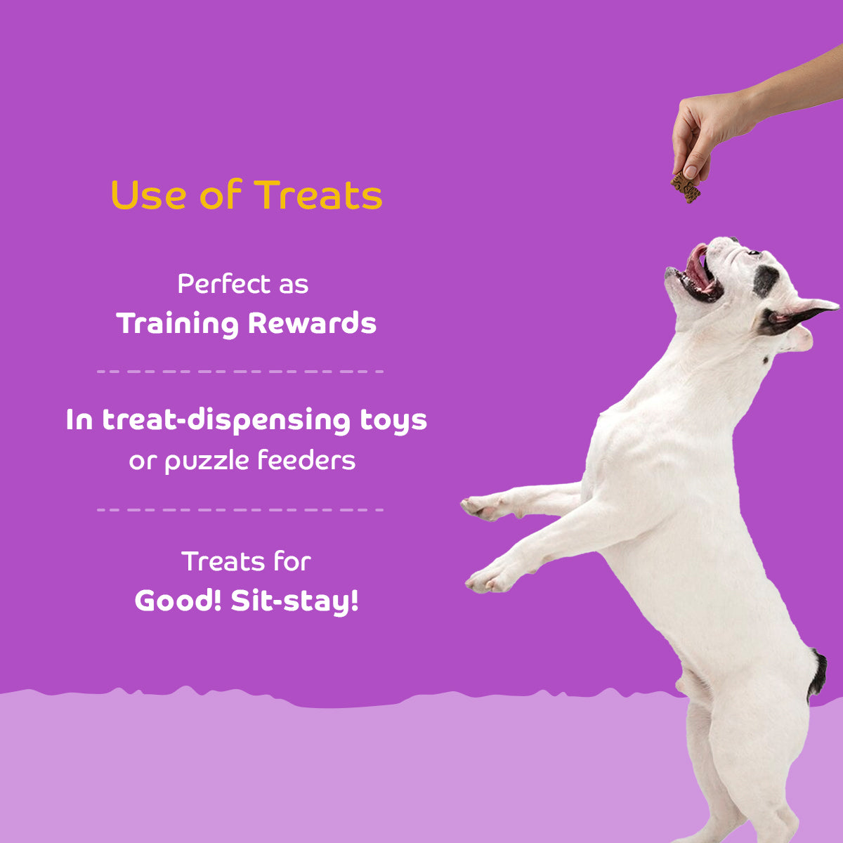 Applod Real Chicken Dog Biscuit