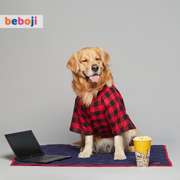 Beboji Red Checkered Dog Shirt