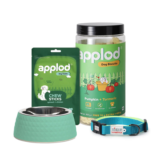 Tails of Joy Dog Bundle:  ZL Collar Neon Green (S), ZL Sage Melamine Bowl, Applod Pumpkin & Turmeric Biscuit, Applod Spinach & Chicken Treat