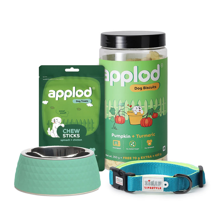 Happy Howl-idays Dog Bundle: ZL Collar Neon Green (L), ZL Sage Melamine Bowl, Applod Pumpkin & Turmeric Biscuit, Applod Spinach & Chicken Treat