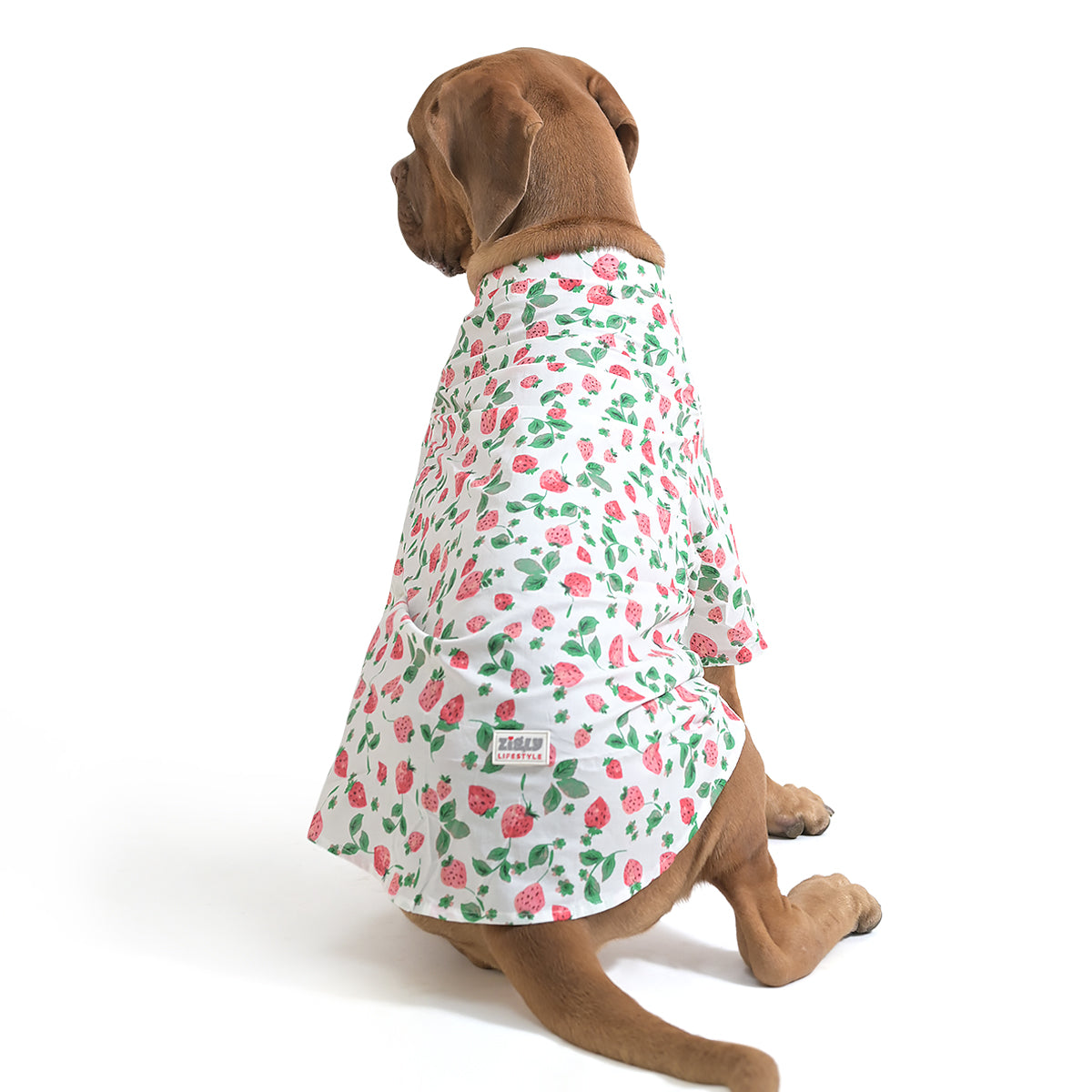 ZL Strawberry Dream Shirt For Dog Days