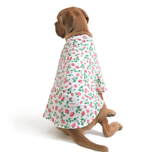 ZL Strawberry Dream Shirt For Dog Days