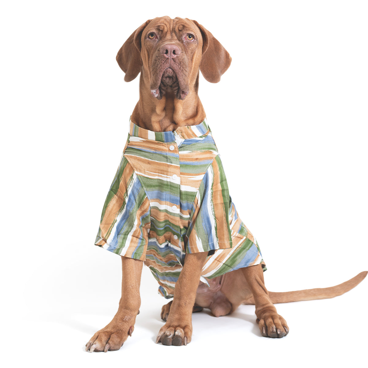 ZL Grassland Stripes Shirt For Dog Days