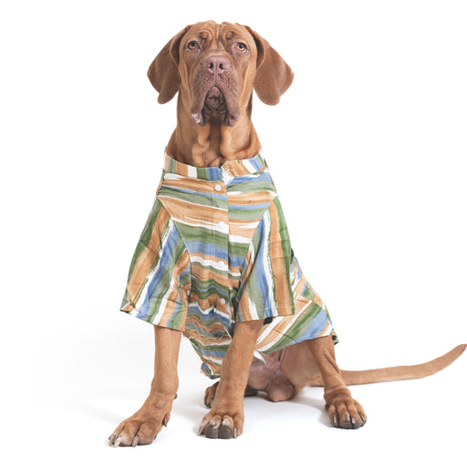 ZL Grassland Stripes Shirt For Dog Days