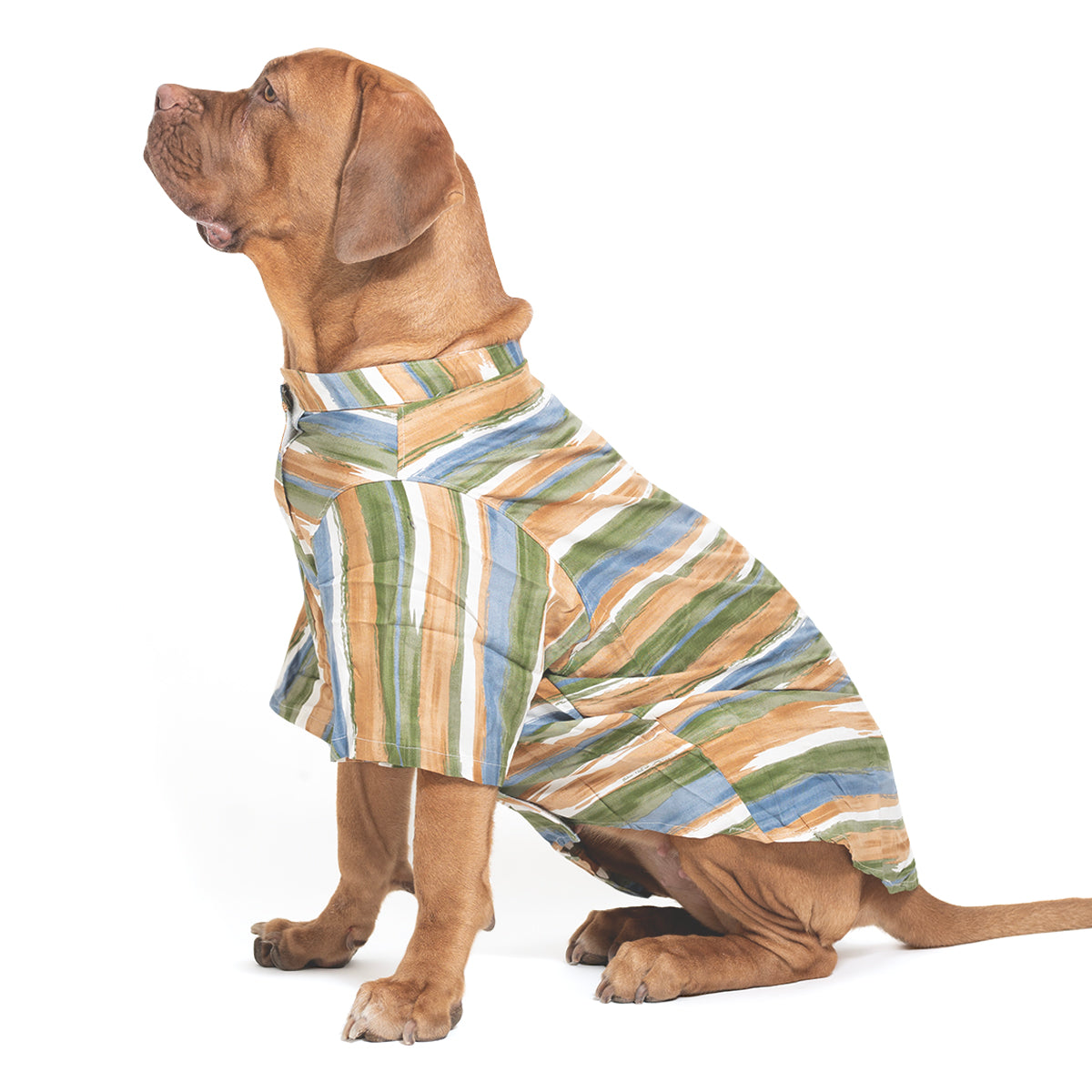 ZL Grassland Stripes Shirt For Dog Days