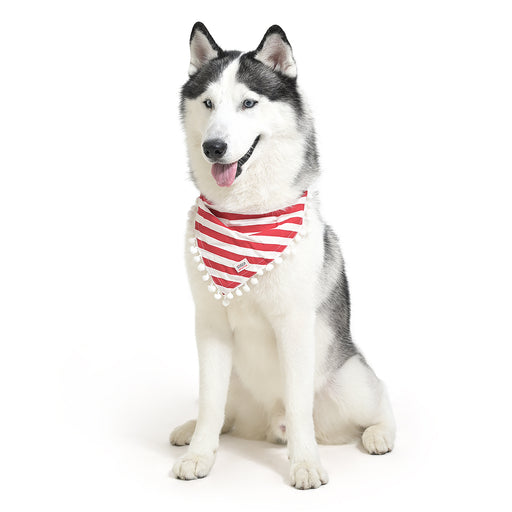ZL Classic Canine Candy Wrap Dog Bandana For Dog Days