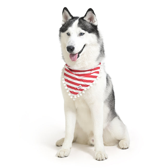 ZL Classic Canine Candy Wrap Dog Bandana For Dog Days
