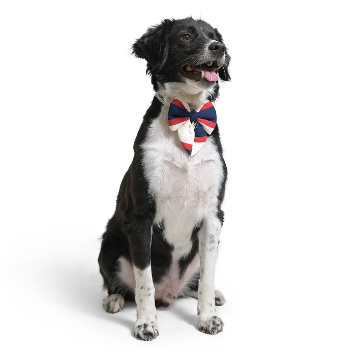 ZL Classic Sailor Stripe Dog Bow-Tie For Dog Days
