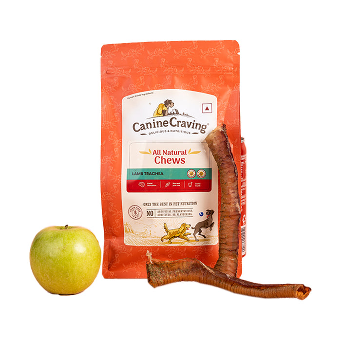 Canine Craving Dog Treats - Tripe Chew - Lamb (50g)
