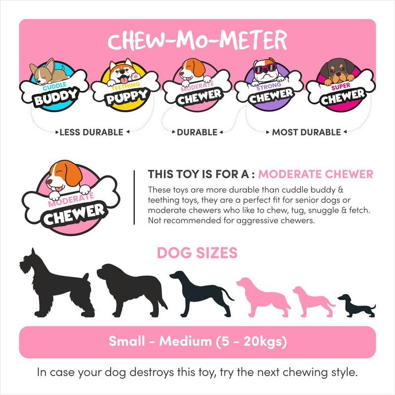 FOFOS Tough Dog Toy Monkey