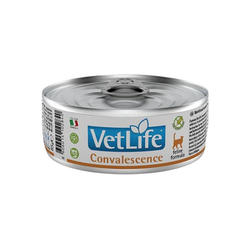 Farmina Vet Life Natural Diet Convalescence Wet Cat food 85 gm