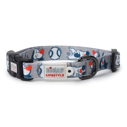 Zigly Doodle Dog Collar - Grey