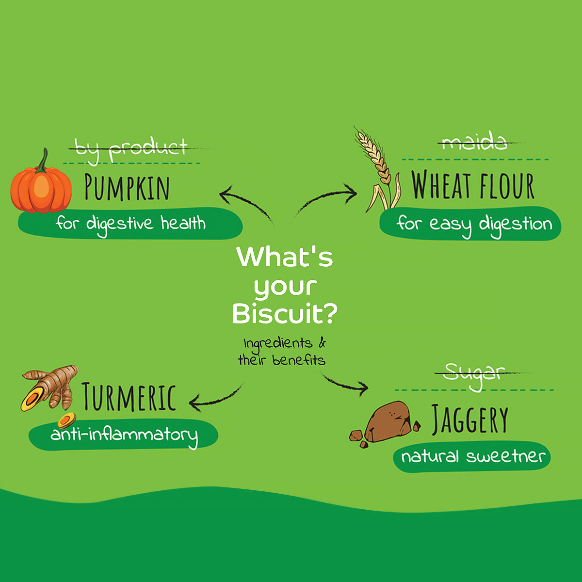 Applod Pumpkin Dog Biscuit With Turmeric 385 gm - Pack of 5