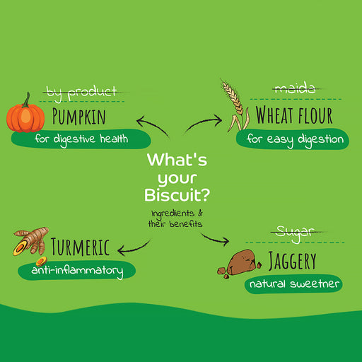 Applod Pumpkin Dog Biscuit With Turmeric 385 gm - Pack of 5