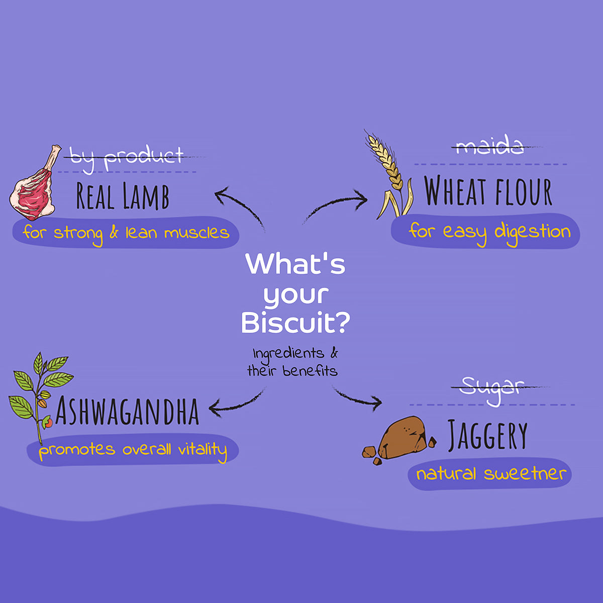 Applod Lamb Dog Biscuit With Ashwagandha 385 gm - Pack of 5