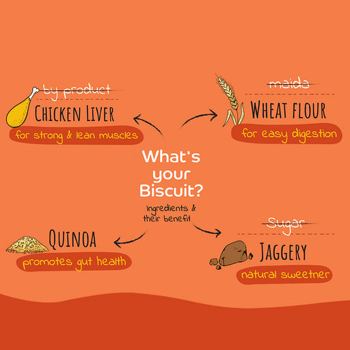 Applod Chicken Liver Dog Biscuit With Quinoa 385 gm - Pack of 5