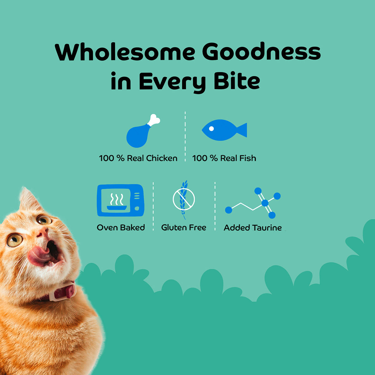 Applod Shrimp with Pumpkin Soft Cat Treat - 35 Gm