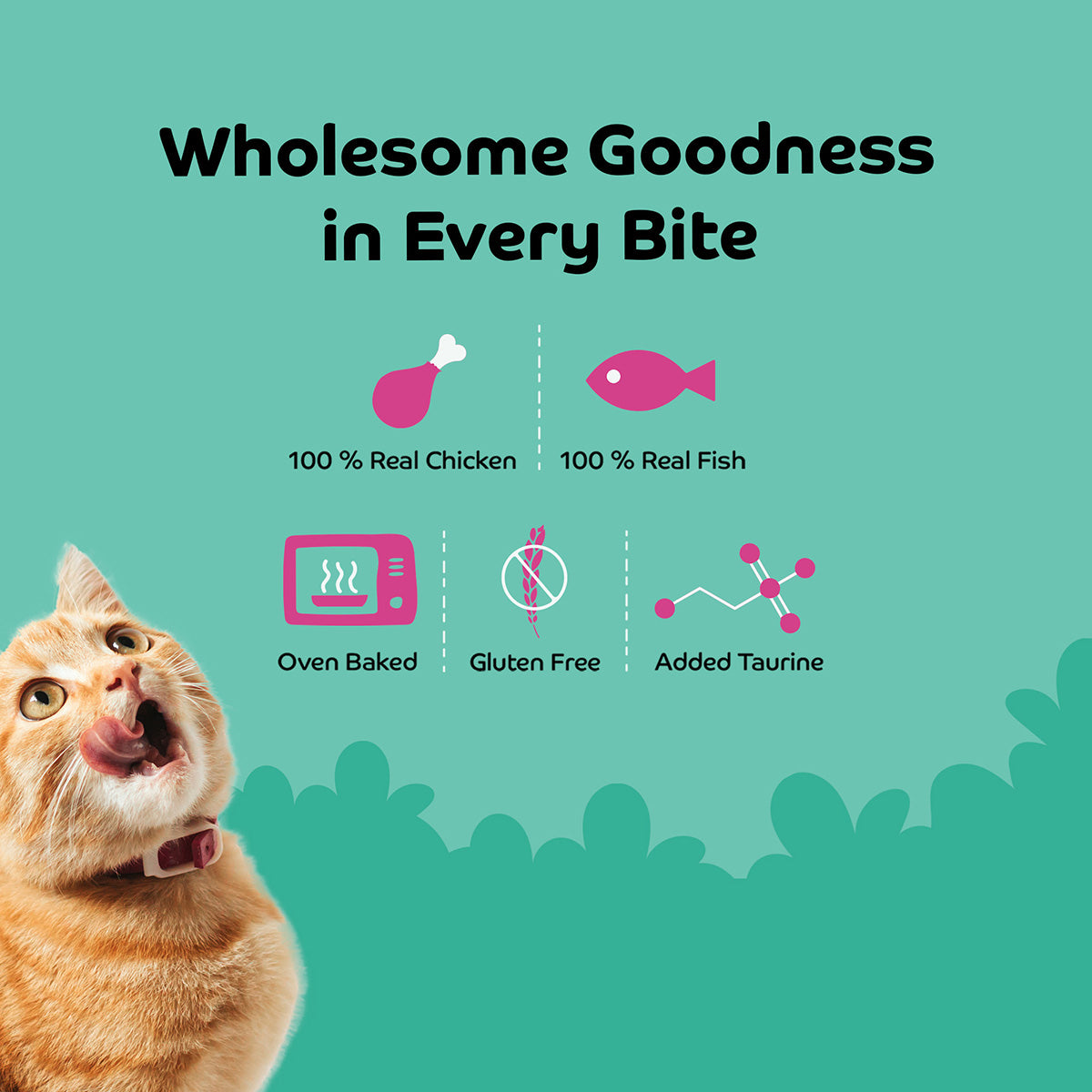 Applod Sardine with Blueberry Soft Cat Treat - 35 Gm