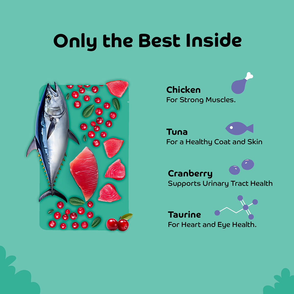 Applod Tuna with Cranberry Soft Cat Treat - 35 Gm