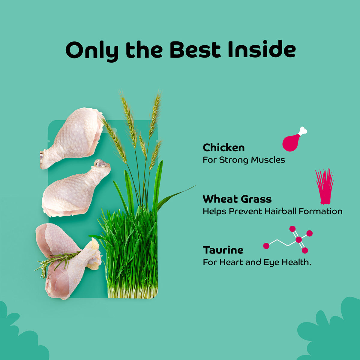 Applod Chicken with Wheat Grass Soft Cat Treat- 35 Gm