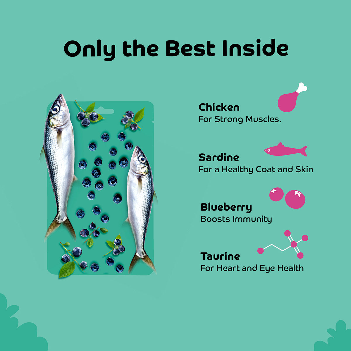 Applod Sardine with Blueberry Soft Cat Treat - 35 Gm