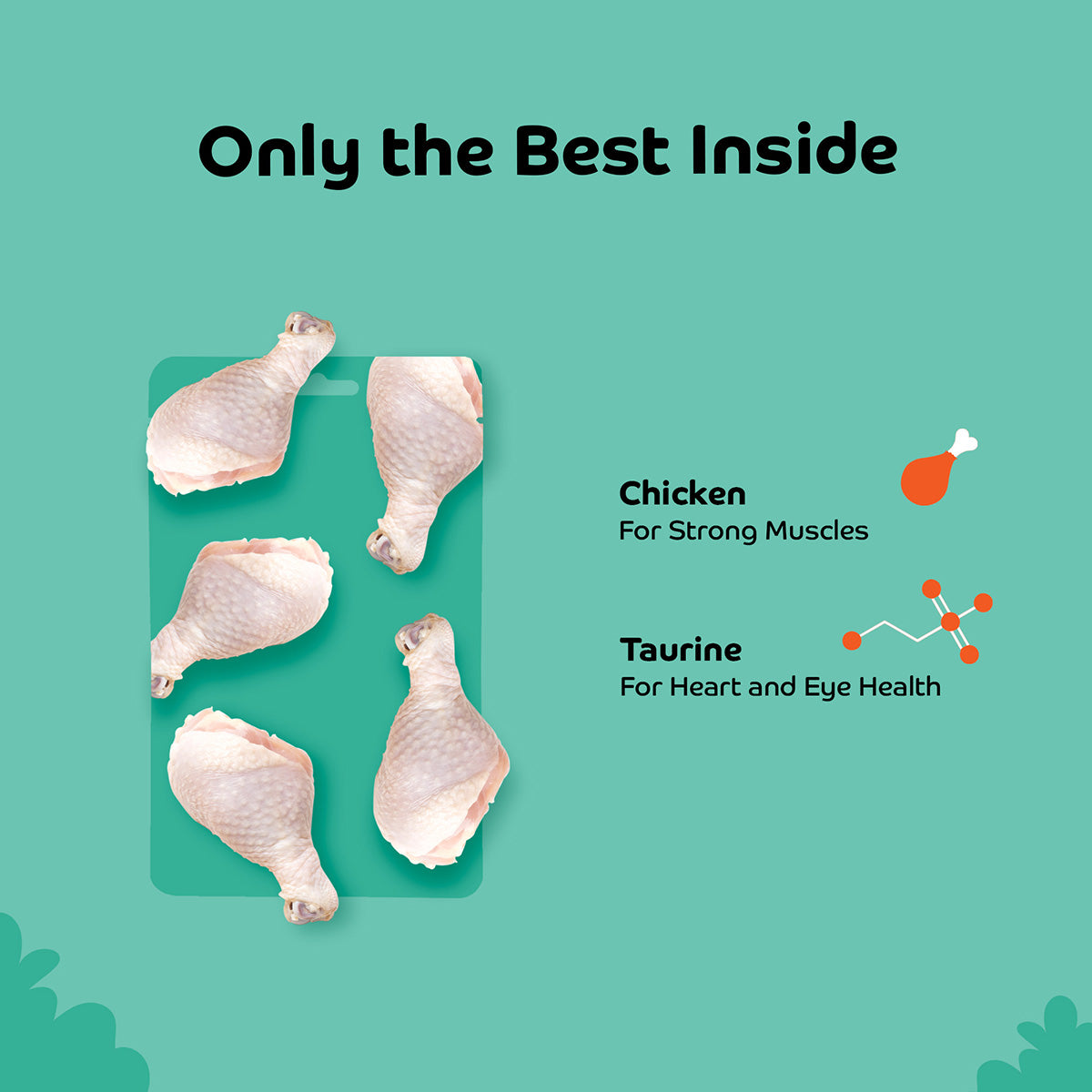 Applod Chicken Shreds Soft Cat Treat - 35 Gm