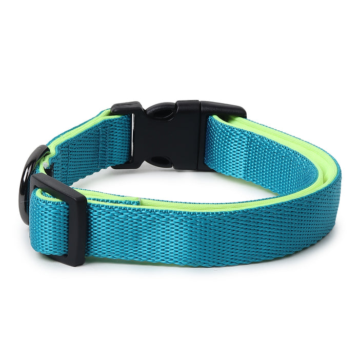 ZL Classic Padded Dog Collar  - Neon Green