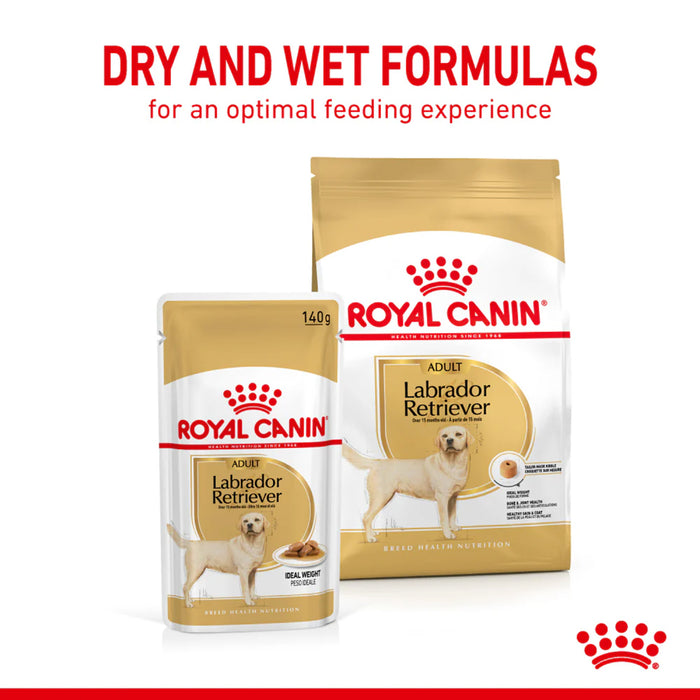 Royal Canin Labrador Retriever Adult Wet Food 140 gm