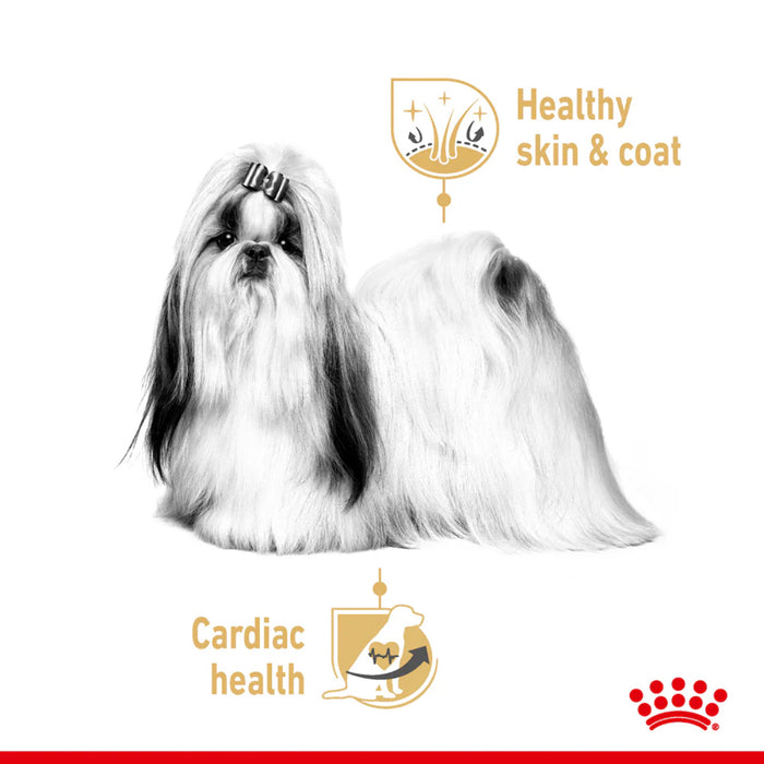 Royal Canin Shih tzu Adult Wet Food 85 gm