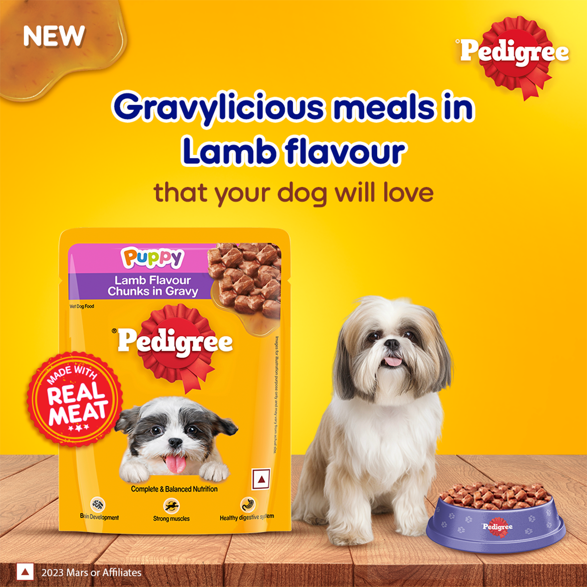 Pedigree Puppy, Wet Dog Food, Lamb Flavor Chunks in Gravy, 70 gm