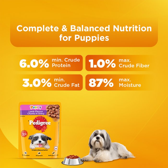 Pedigree Puppy, Wet Dog Food, Lamb Flavor Chunks in Gravy, 70 gm