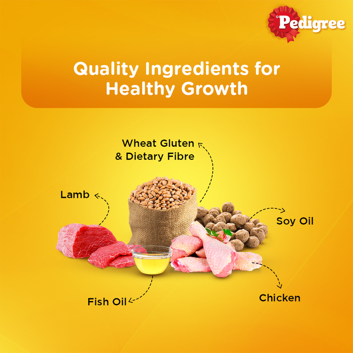 Pedigree Puppy, Wet Dog Food, Lamb Flavor Chunks in Gravy, 70 gm