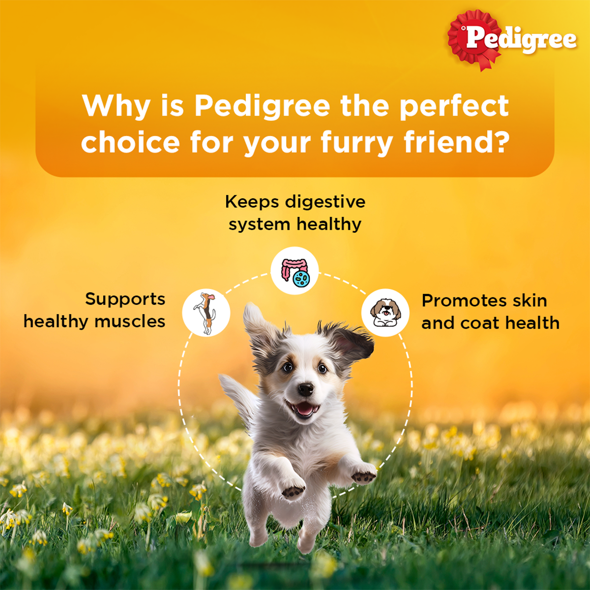 Pedigree Puppy, Wet Dog Food, Lamb Flavor Chunks in Gravy, 70 gm