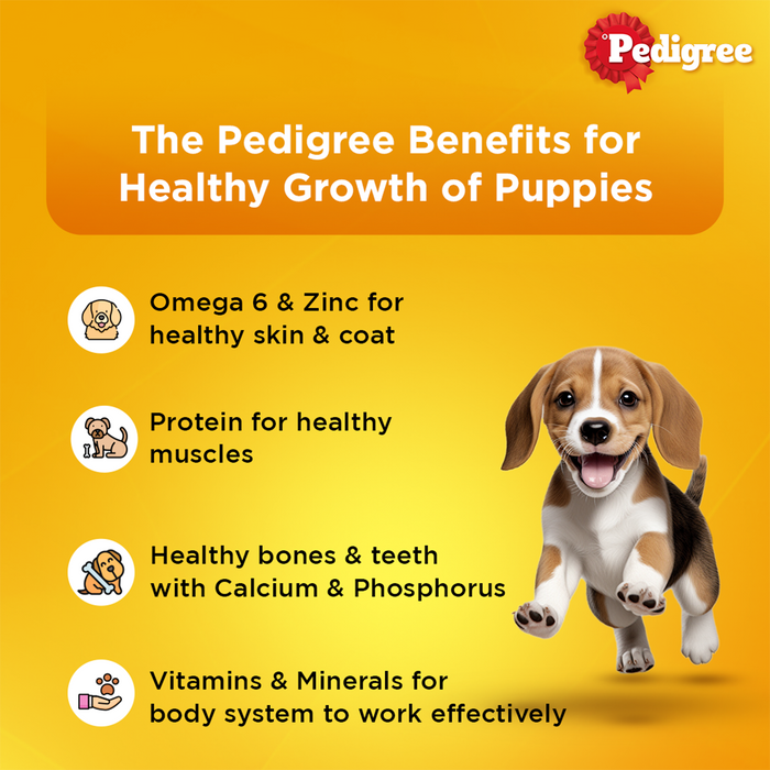 Pedigree Puppy, Wet Dog Food, Lamb Flavor Chunks in Gravy, 70 gm