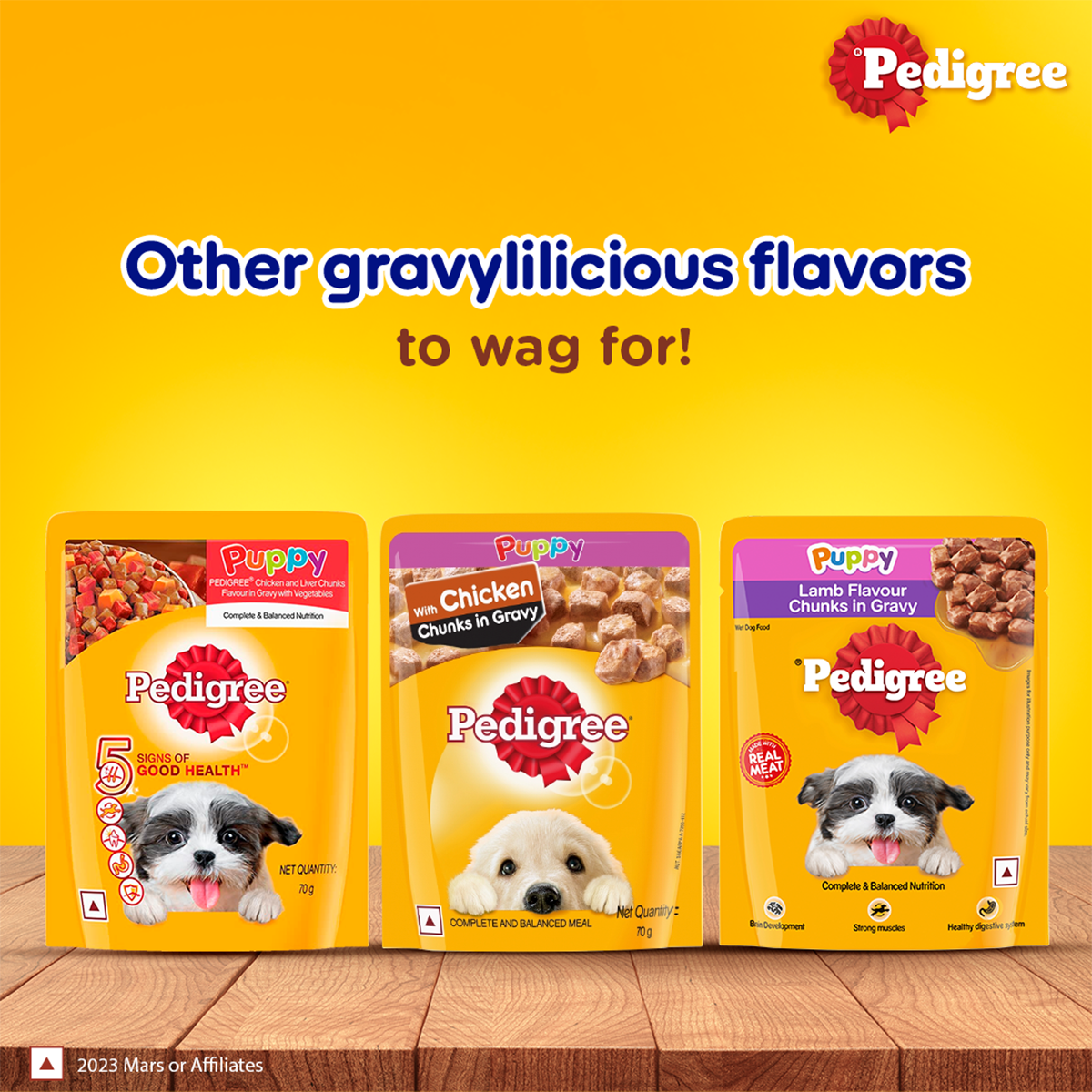 Pedigree Puppy, Wet Dog Food, Lamb Flavor Chunks in Gravy, 70 gm