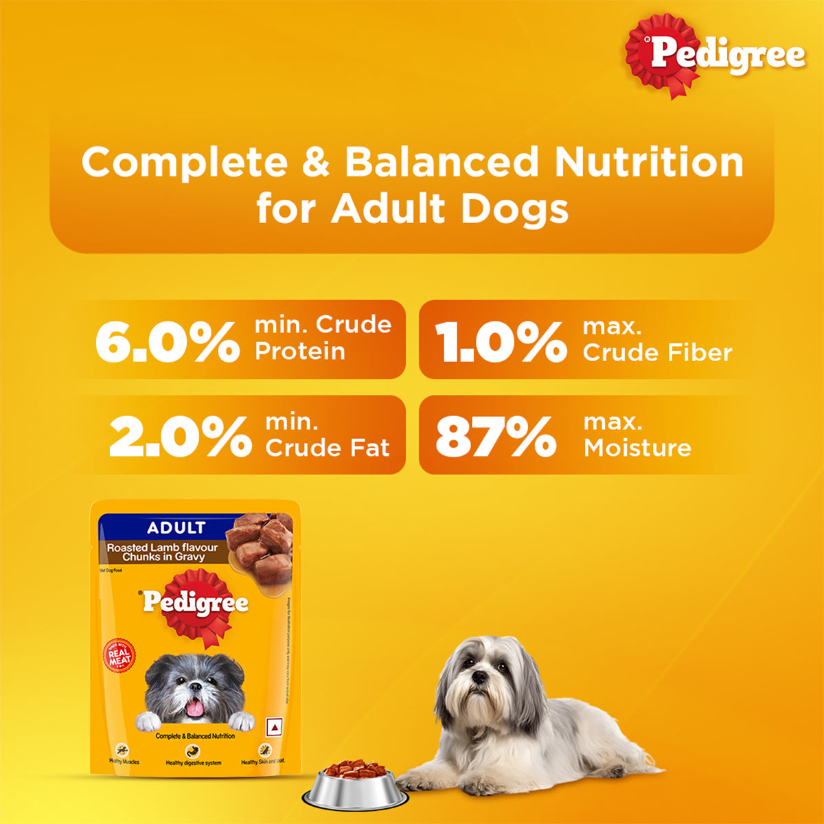 Pedigree Adult, Wet Dog Food, Roasted Lamb Flavor Chunks in Gravy, 70 gm
