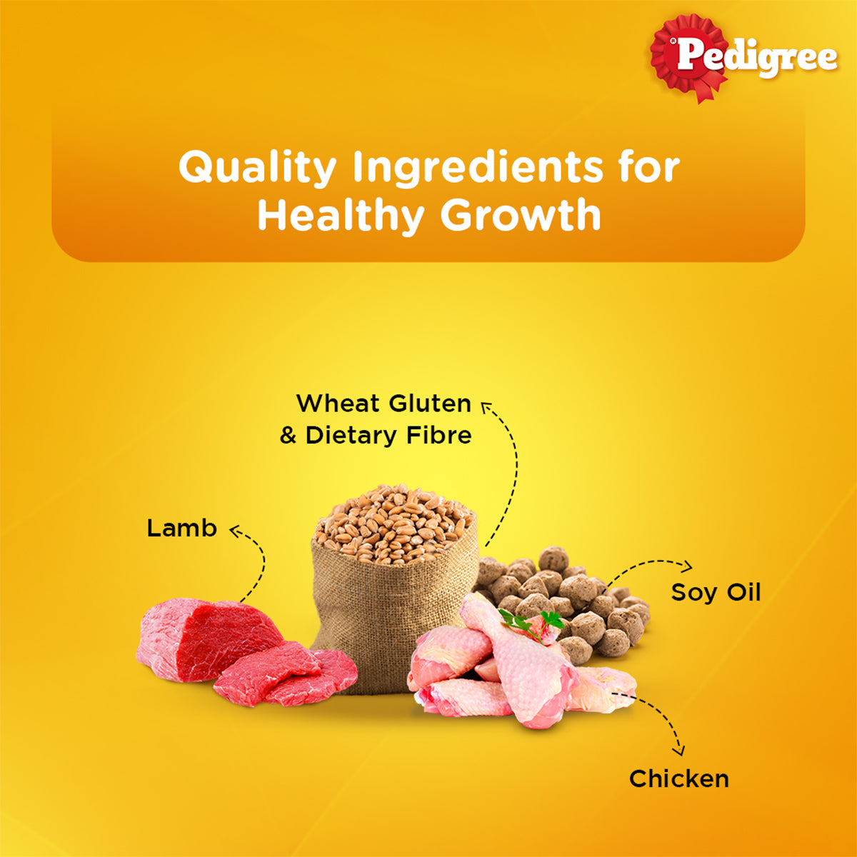 Pedigree Adult, Wet Dog Food, Roasted Lamb Flavor Chunks in Gravy, 70 gm