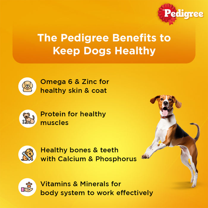 Pedigree Adult, Wet Dog Food, Roasted Lamb Flavor Chunks in Gravy, 70 gm