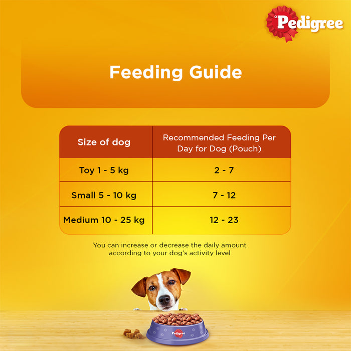 Pedigree Adult, Wet Dog Food, Roasted Lamb Flavor Chunks in Gravy, 70 gm