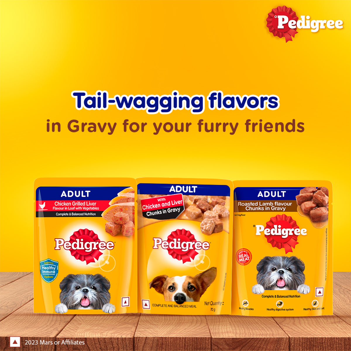 Pedigree Adult, Wet Dog Food, Roasted Lamb Flavor Chunks in Gravy, 70 gm